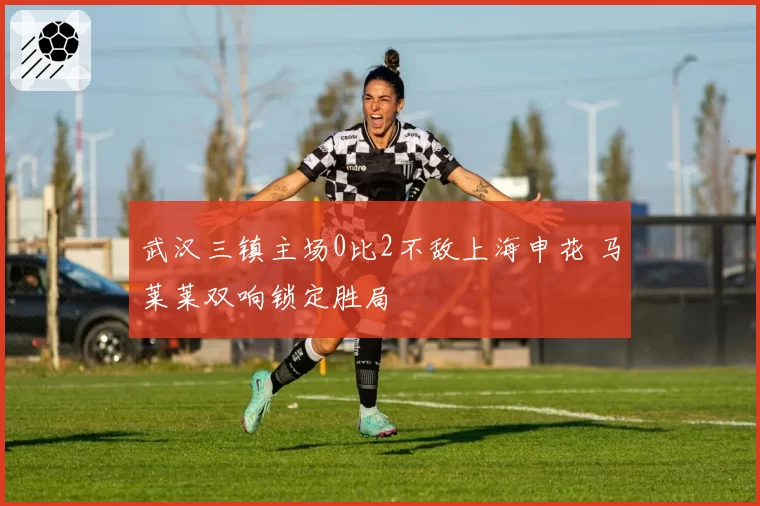 武汉三镇主场0比2不敌上海申花 马莱莱双响锁定胜局