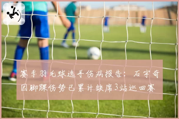 赛季羽毛球选手伤病报告:石宇奇因脚踝伤势已累计缺席3站巡回赛