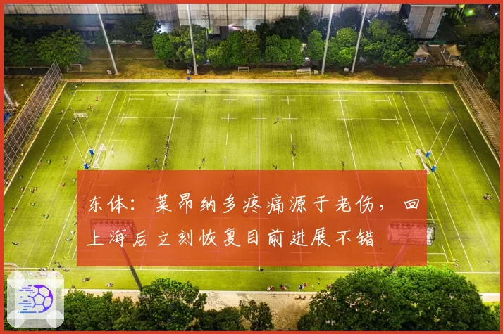 东体：莱昂纳多疼痛源于老伤，回上海后立刻恢复目前进展不错
